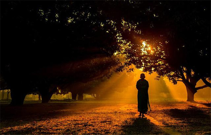 素履所往，我想奔赴一场关于信仰的朝圣之旅