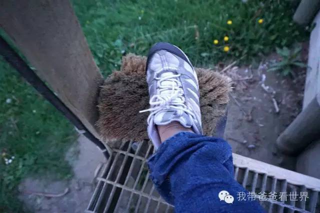 新西兰拉基圆石,摩拉基大圆石早上可以看得见吗