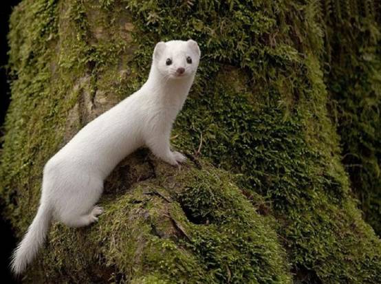 这个杀手有点萌攻略,这个杀手有点萌