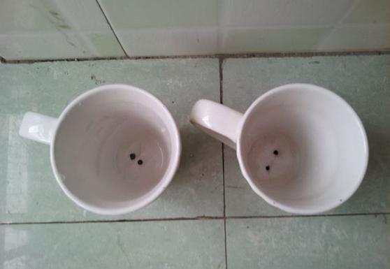 用超小的花盆种肉,自己做多肉花盆的方法