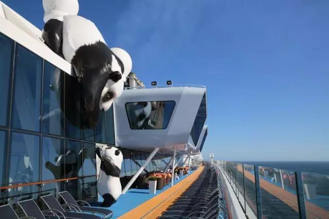 海洋赞礼号邮轮旅游视频,海洋赞礼号邮轮游记