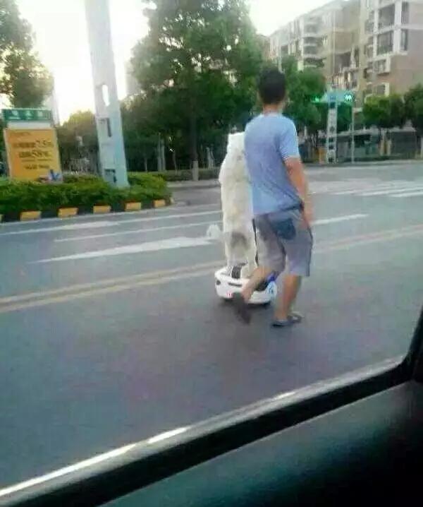 汝非瓜，焉知瓜之不应乎？