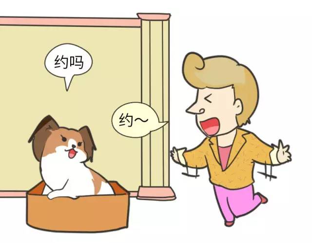 身娇贫乳双马尾，准备好舔屏了吗？！