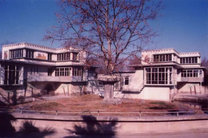 阿拉看环境｜还记得记忆中的西郊公园吗？