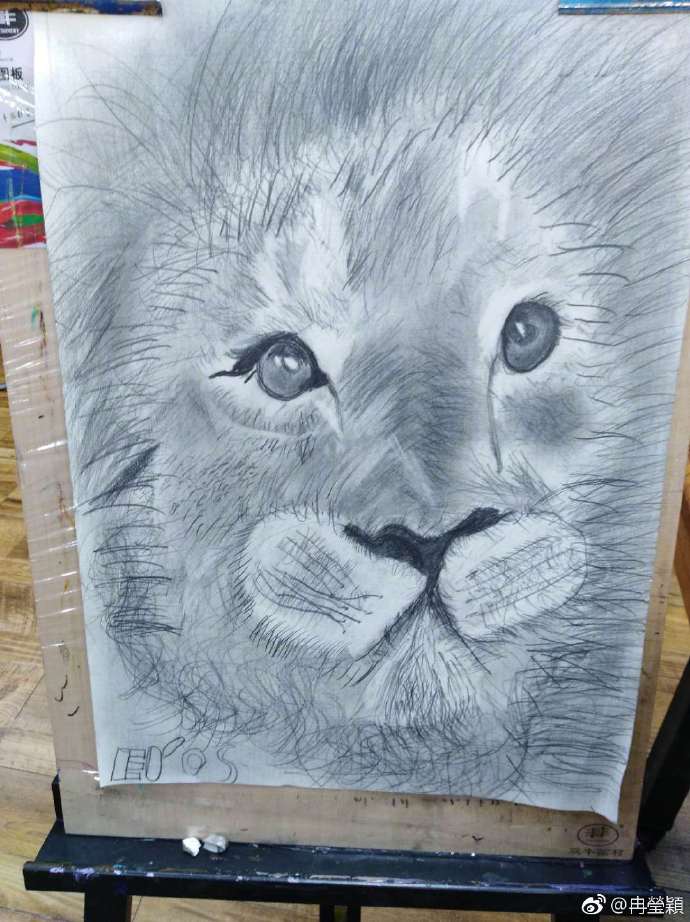 胖轩用一支铅笔就画活了狮子，网友却说他的发型亮了