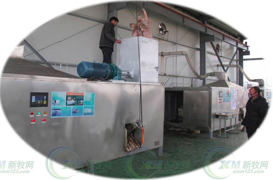 死猪集中冷藏无害化处理,死猪无害化处理厂日处理能力