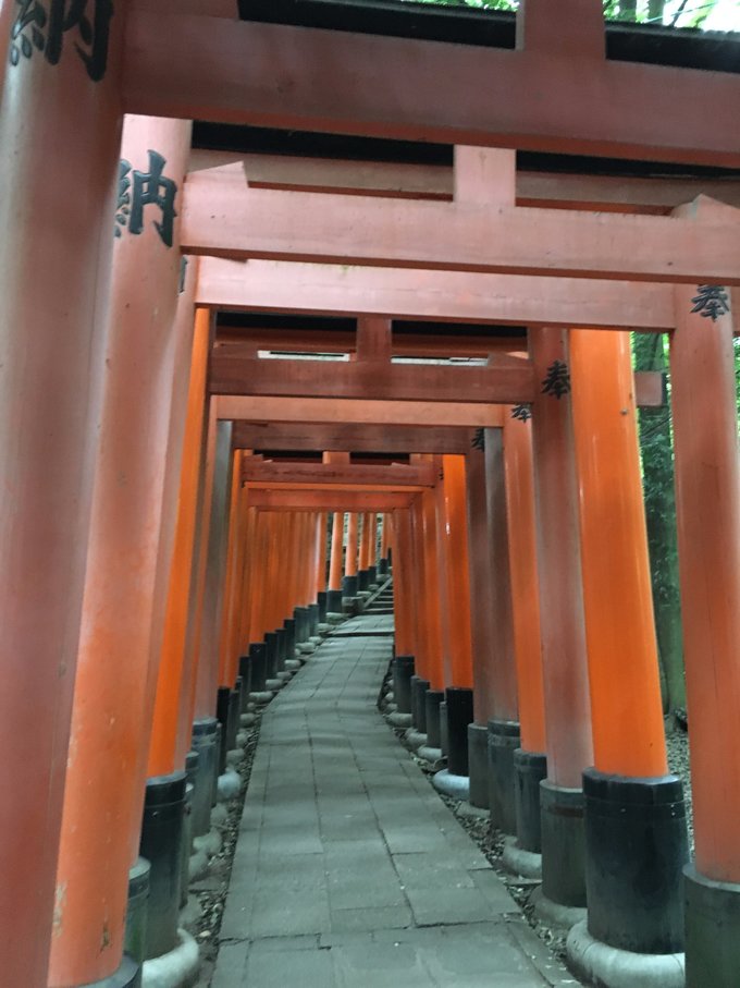 年假连端午，二次进日，关西8日游：京都、岚山（嵯峨野观光小火车、岚电）、奈良、环球影城