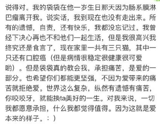 宠物离世如何面对家人,失去宠物怎么走出悲伤要多长时间