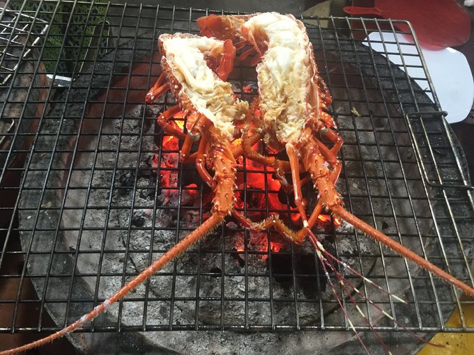 越南越美,自由行10天去越南旅游攻略