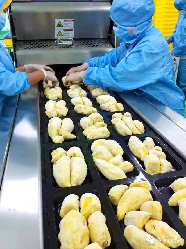 想减肥的千万别回娘家,想减肥千万不要一上来就跑步