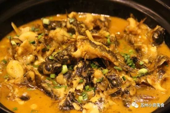 3月啦!不时不吃的苏州人又迎来了一波春天的美食,青团子、腌笃鲜、明前螺、马兰头……