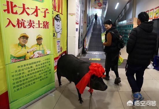 给孩子一个正确的金钱观,妈妈的价值无法用金钱来衡量