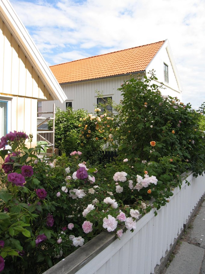 北欧四国丹、瑞、挪、芬，不是穷游的穷游（多图杀猫，字多慎入）