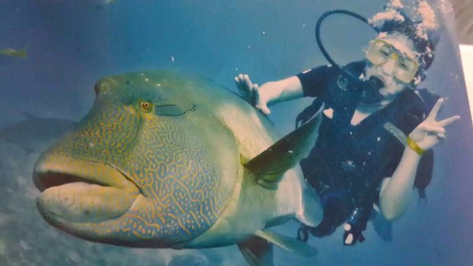 澳大利亚昆士兰自由行攻略,去澳大利亚昆士兰州旅游攻略