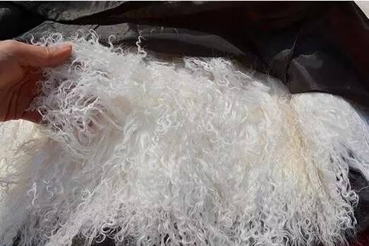 收藏不看是种什么心理,宁夏特产正宗宁夏中宁枸杞