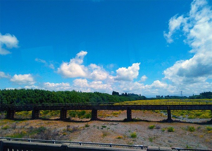 趁年轻我们一起去旅行,趁年轻我们一起去旅行吧