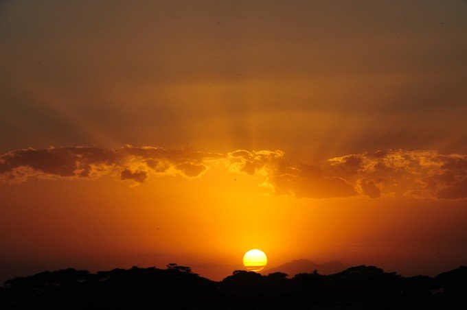 12天肯尼亚动物大迁徙自驾之旅,肯尼亚动物旅行