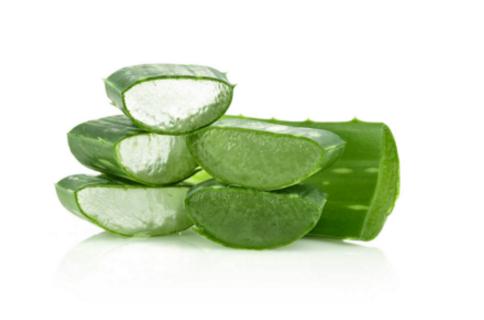 鲜芦荟能泡水喝吗有什么功效,新鲜芦荟可以泡水喝