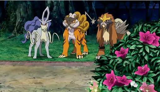 精灵宝可梦图鉴第55期,宝可梦图鉴807只精灵