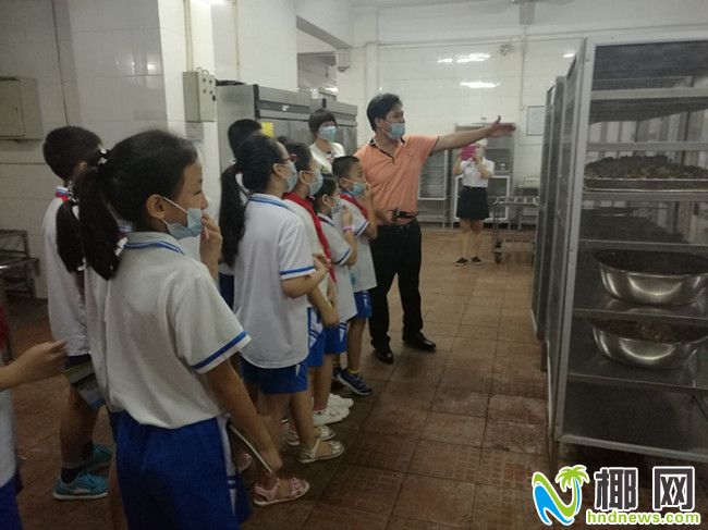 省教育厅省食药监:50所学校将加盟食安示范食堂