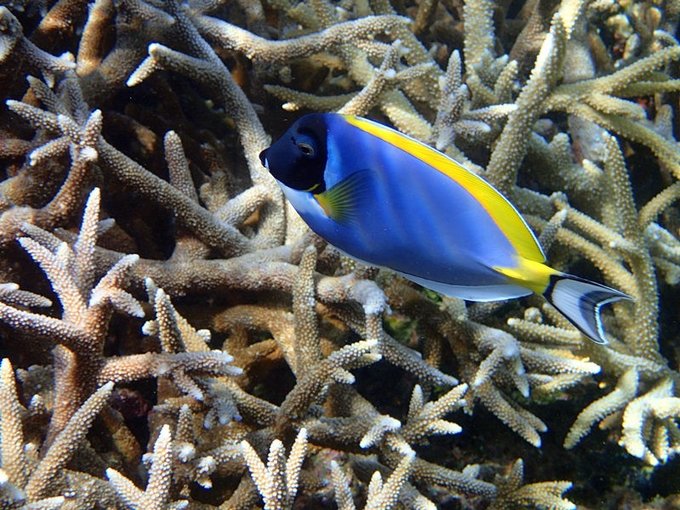 马尔代夫莉莉岛适合几月份去,马尔代夫莉莉岛旅游攻略