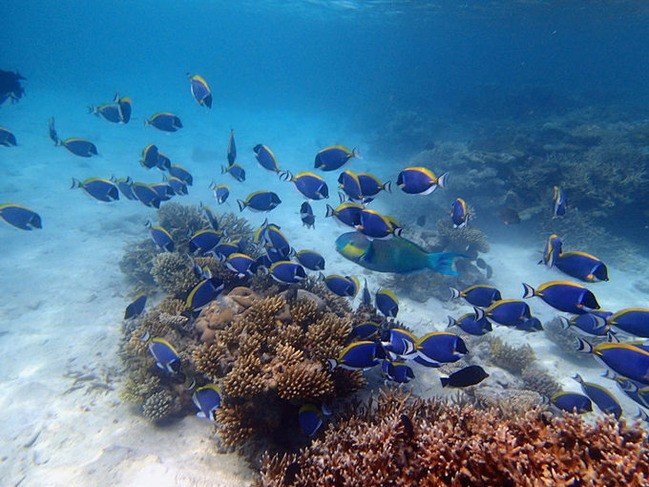 马尔代夫莉莉岛适合几月份去,马尔代夫莉莉岛旅游攻略