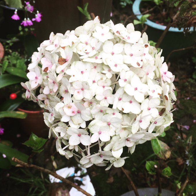 老爸追梦之旅,父亲的圆梦之旅