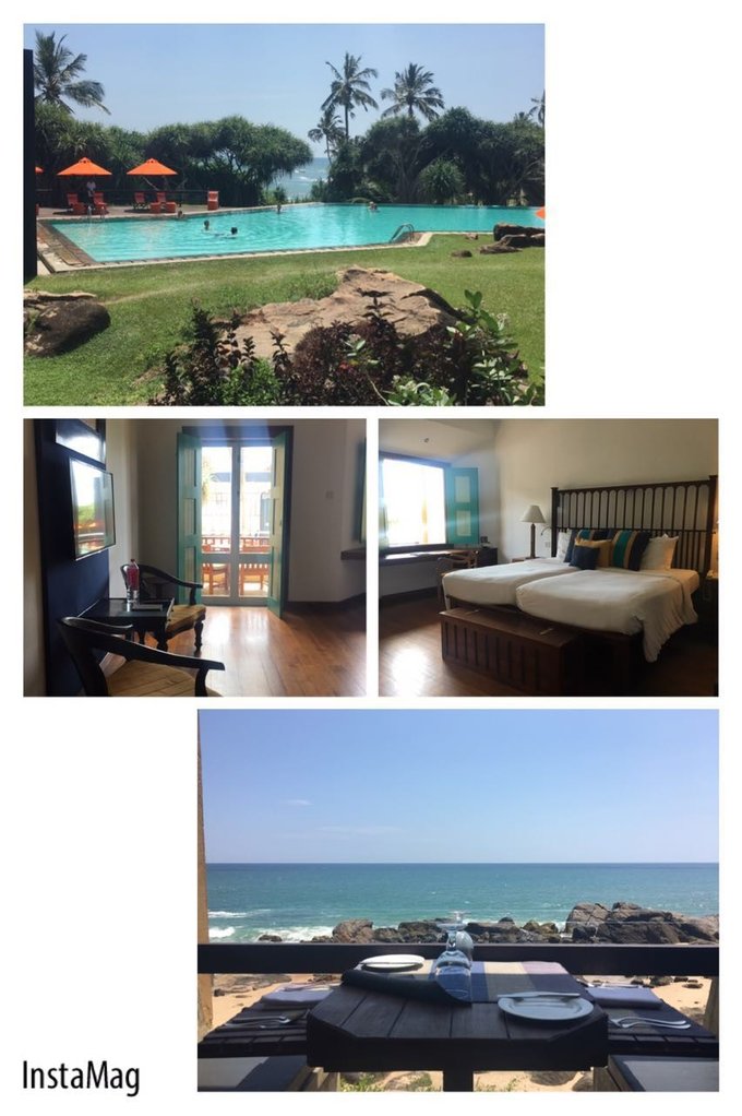 锡兰,九野,春天里@2016