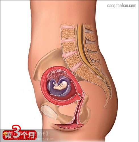 受益匪浅新手爸妈必读