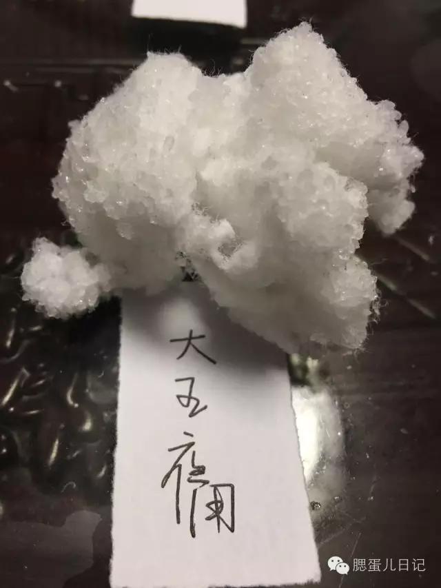 奶粉尿不湿试用公众号,品牌尿不湿1-3岁