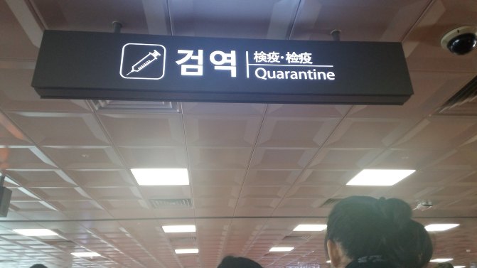 济州岛租车价格一览表,中国人如何在济州岛租车