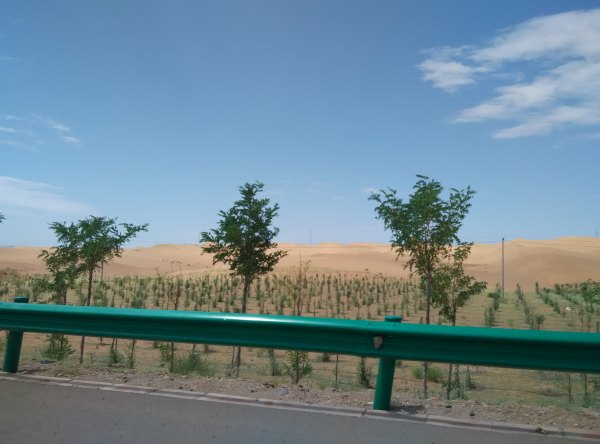 爸爸去哪儿旅游打卡,爸爸去哪儿宁夏中卫沙坡头