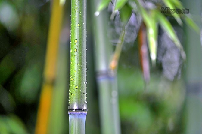 在这座神山中，我们每个人都是武林高手