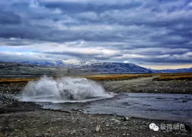 我在冰岛，带回一截漂亮的枯木