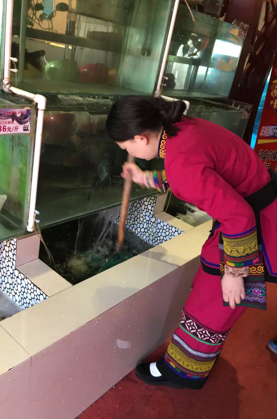 你们吃过这样的云南蒸汽石锅鱼吗,终于吃到了心心念念的云南石锅鱼