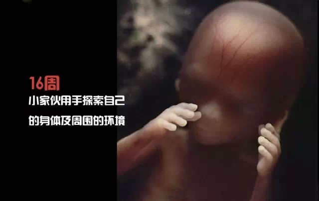 造人计划之前必须要做的几件事,造人是个很辛苦的事情