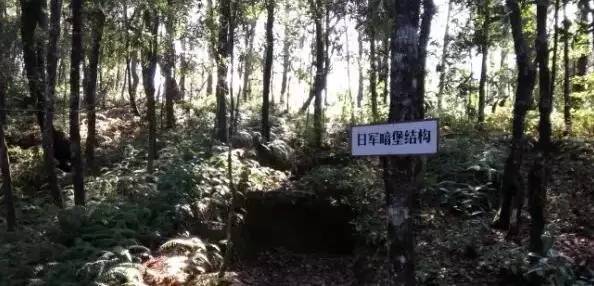 重走滇缅公路视频,纪念抗战胜利78周年重走滇缅公路