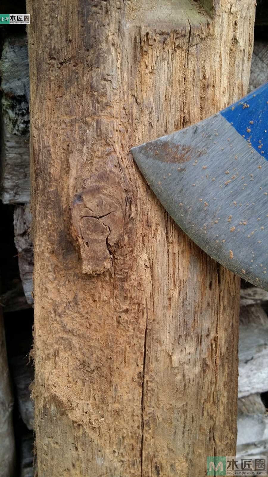 圆树桩小夜灯,树桩小夜灯