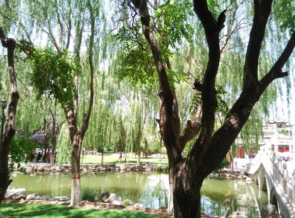 爸爸去哪儿旅游打卡,爸爸去哪儿宁夏中卫沙坡头