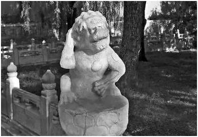 千年萌物大集结，到底谁才是真正的“*物文**萌主”！