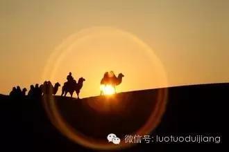 实力说话什么意思,实力讲话