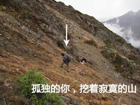 选专业最容易后悔的几个专业,目前高考选什么专业比较好找工作