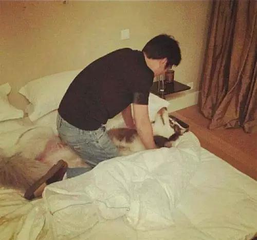 王思聪投资失败了吗,王思聪投资失败的真相