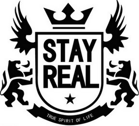 郑恺王嘉尔潮牌,郑凯李现周杰伦