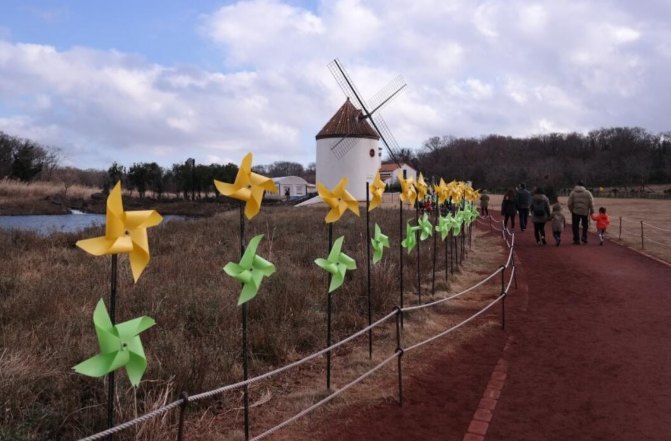 去济州岛旅游可以租车吗,济州岛租车需要什么手续
