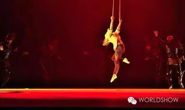 最惊艳的鸟巢,鸟巢吸引鸟的视频