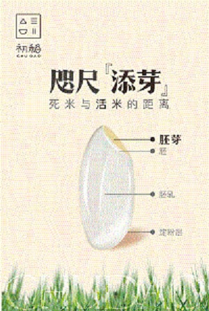 脚气病患者福利来啦！日本人为什么吃胚芽米？原因在这！