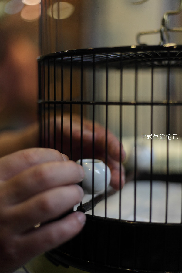 提笼架鸟说明什么,提笼架鸟视频