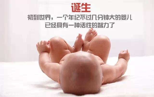 造人计划之前需要做的事,造人计划必须做的事