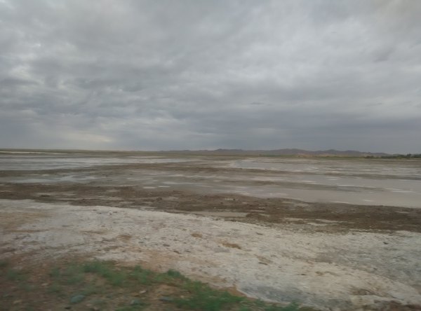 爸爸去哪儿旅游打卡,爸爸去哪儿宁夏中卫沙坡头